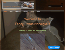 Tablet Screenshot of fancyrat.net